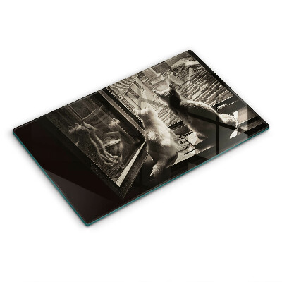 Tocător din sticlă Orașul pisicilor și fereastra