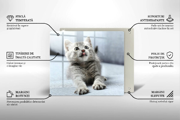 Tocător din sticlă Pisicuță drăguță