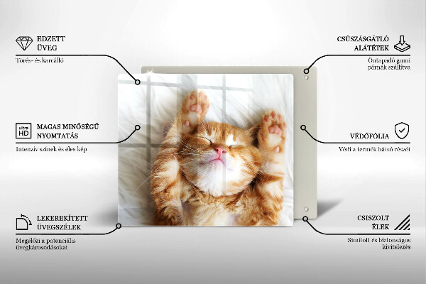 Tocător din sticlă Pisicuță drăguță