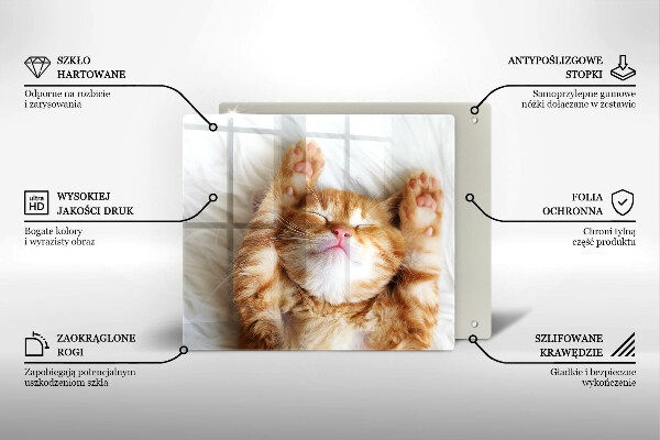 Tocător din sticlă Pisicuță drăguță