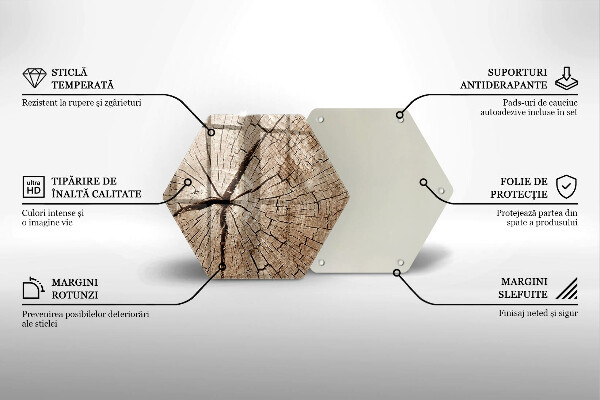 Tocător de bucătărie Secțiune transversală a unui copac