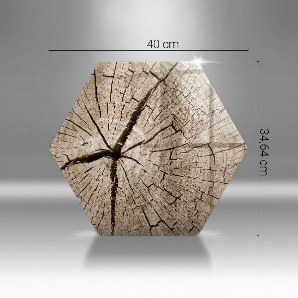 Tocător de bucătărie Secțiune transversală a unui copac