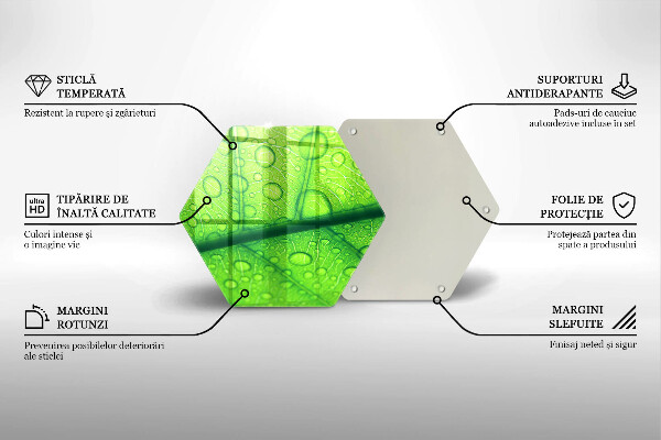 Tocător din sticlă Prim-plan al unei frunze