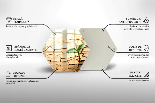 Tocător de bucătărie O plantă singuratică