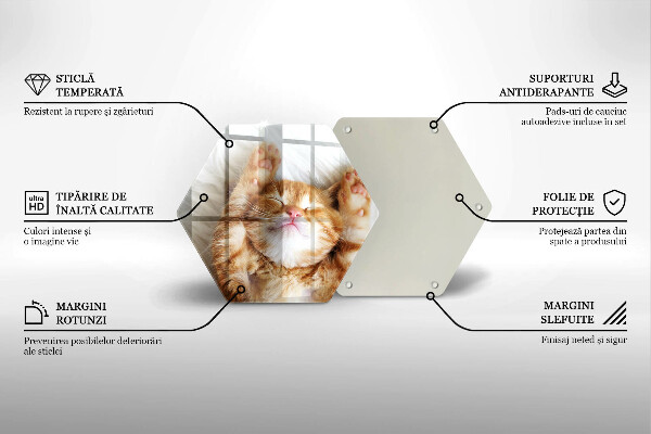 Tocător de bucătărie Pisicuță drăguță