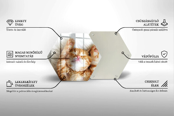 Tocător de bucătărie Pisicuță drăguță