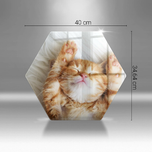 Tocător de bucătărie Pisicuță drăguță