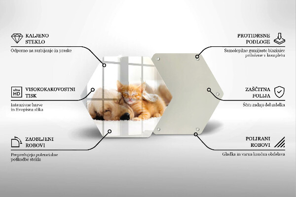 Tocător sticlă Animale câine și pisică