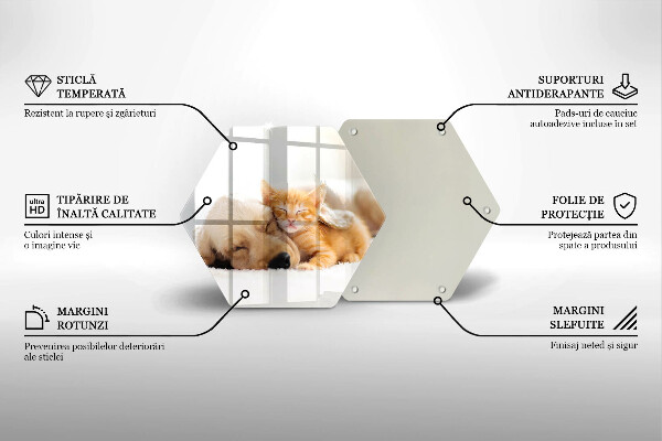 Tocător sticlă Animale câine și pisică