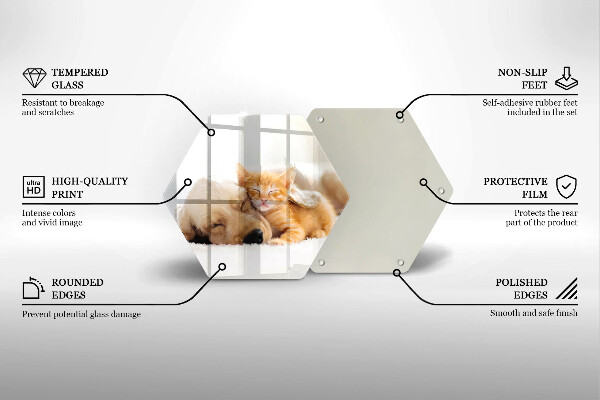 Tocător sticlă Animale câine și pisică