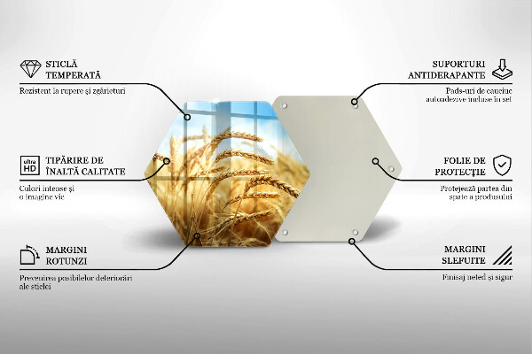 Tocător sticlă Spice de cereale în câmp