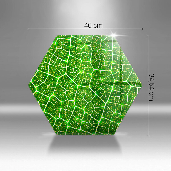 Tocător sticlă Structura frunzei