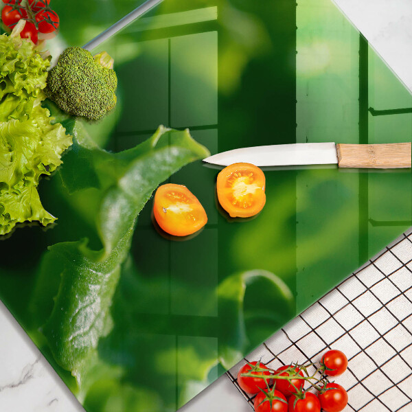 Placa din sticla protectie perete bucatarie Frunze de salata verde