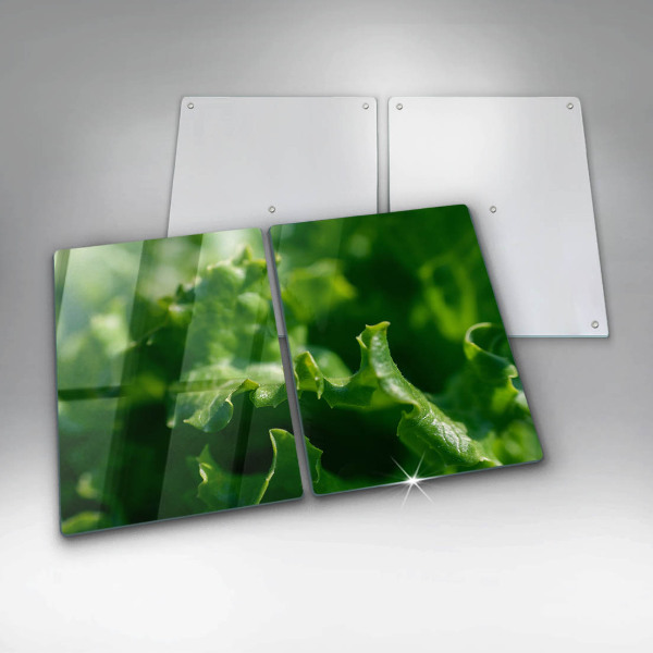 Placa din sticla protectie perete bucatarie Frunze de salata verde