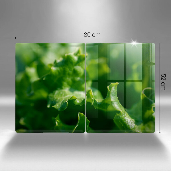 Placa din sticla protectie perete bucatarie Frunze de salata verde
