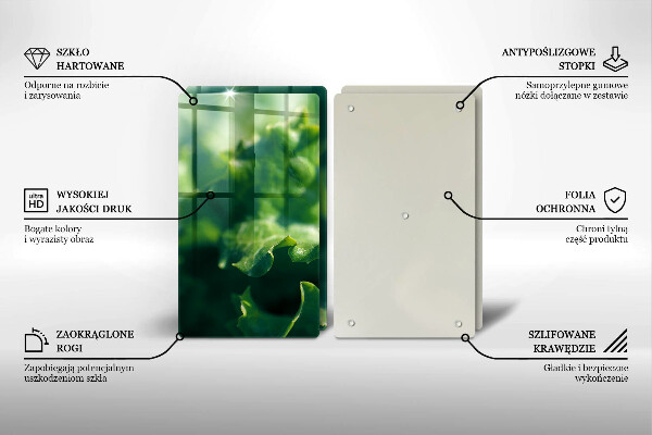 Placa din sticla protectie perete bucatarie Frunze de salata verde