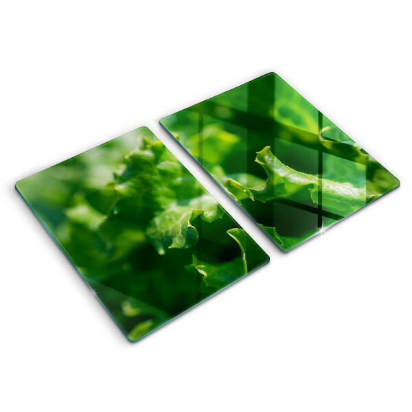 Placa din sticla protectie perete bucatarie Frunze de salata verde