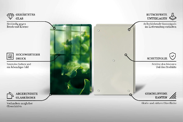 Placa din sticla protectie perete bucatarie Frunze de salata verde