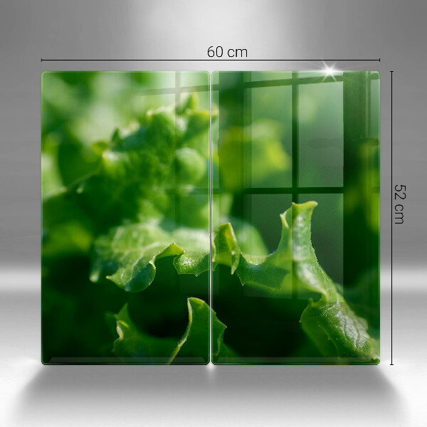 Placa din sticla protectie perete bucatarie Frunze de salata verde