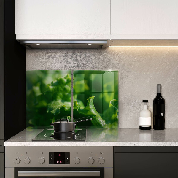 Placa din sticla protectie perete bucatarie Frunze de salata verde