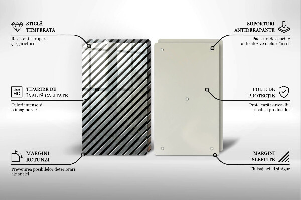 Placa din sticla protectie perete bucatarie Linii metalice
