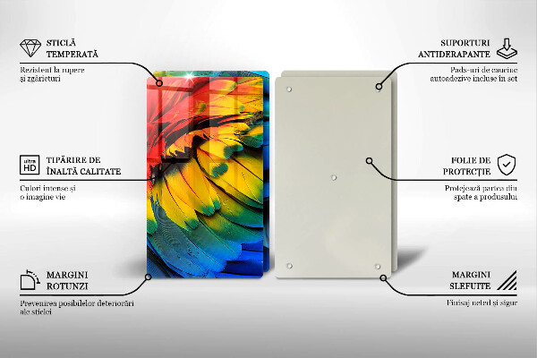 Placă sticla protectie aragaz Pene de papagal colorate