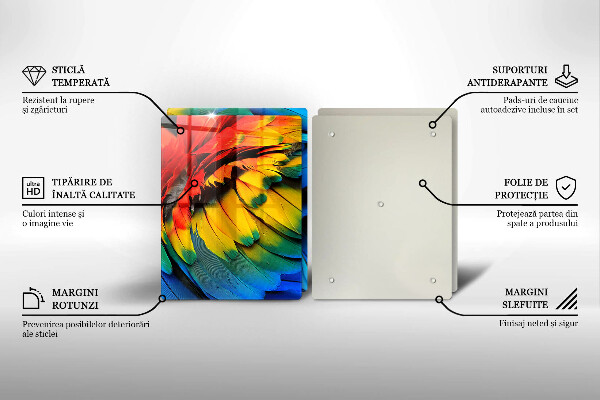 Placă sticla protectie aragaz Pene de papagal colorate