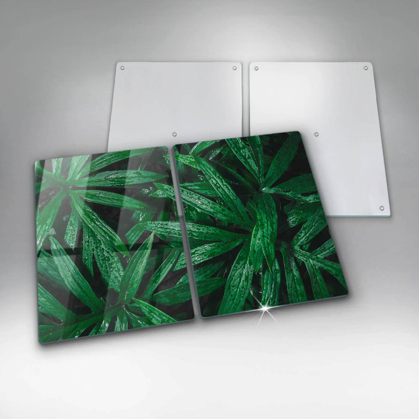 Placă din sticla protectie perete Frunze de plante