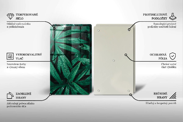 Placă din sticla protectie perete Frunze de plante