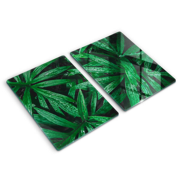 Placă din sticla protectie perete Frunze de plante