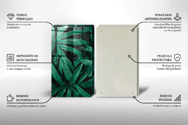 Placă din sticla protectie perete Frunze de plante