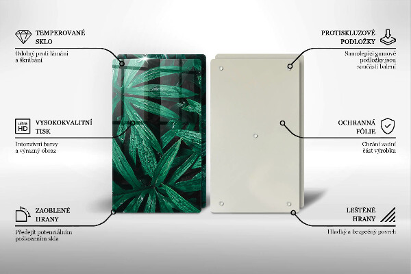 Placă din sticla protectie perete Frunze de plante