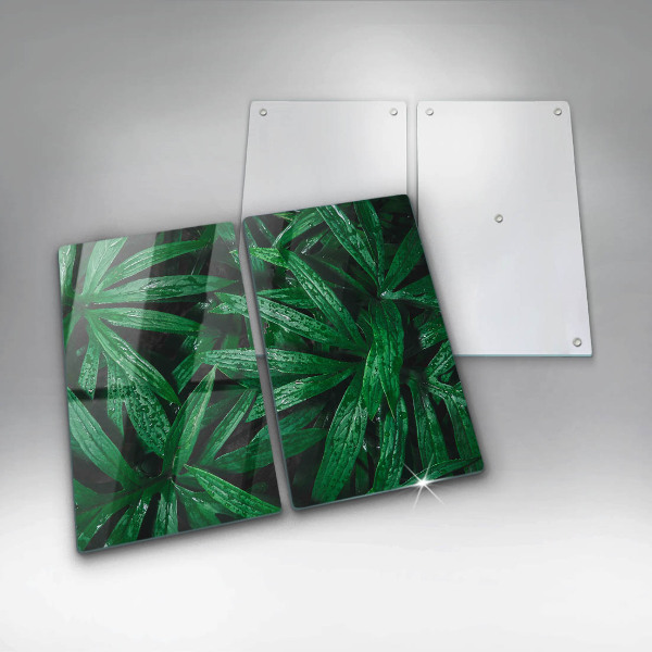 Placă din sticla protectie perete Frunze de plante