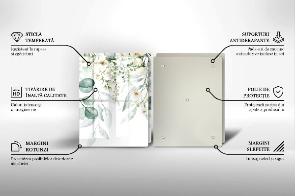 Placă din sticla protectie perete Plante acuarela