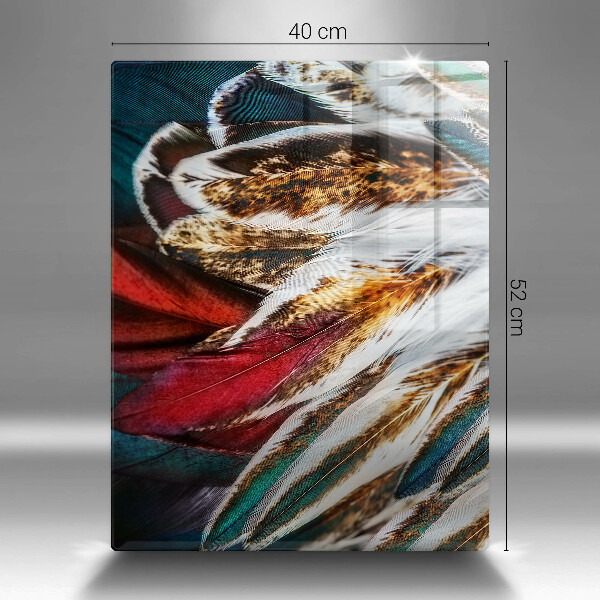 Placă din sticla protectie perete Pene de pasăre boho
