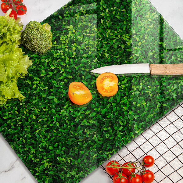 Placă din sticla protectie perete Planta cu frunze mici