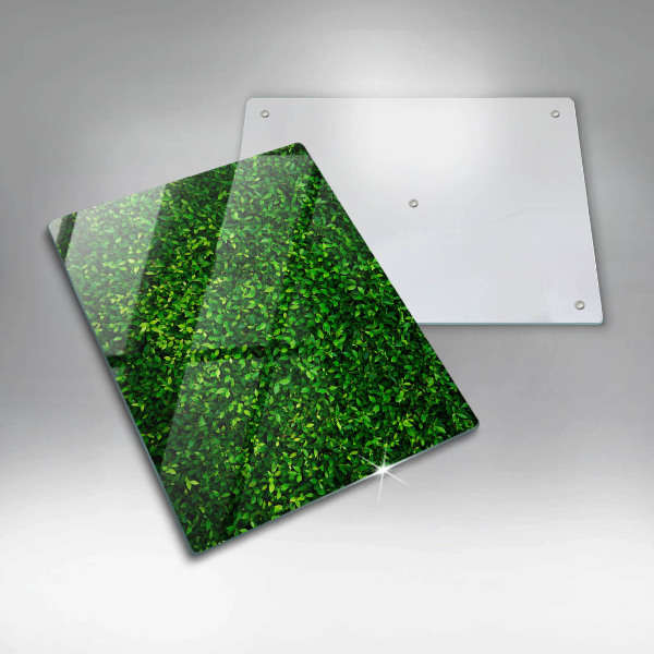 Placă din sticla protectie perete Planta cu frunze mici