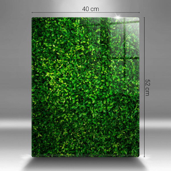 Placă din sticla protectie perete Planta cu frunze mici