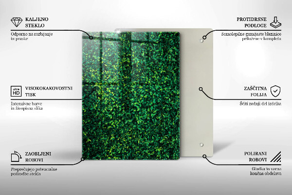 Placă din sticla protectie perete Planta cu frunze mici