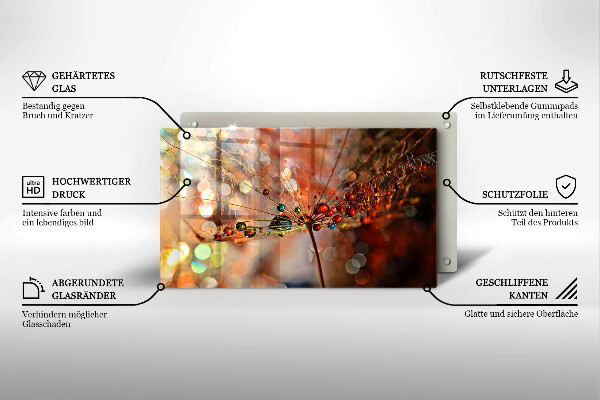 Placă sticla protectie aragaz Păpădie umedă