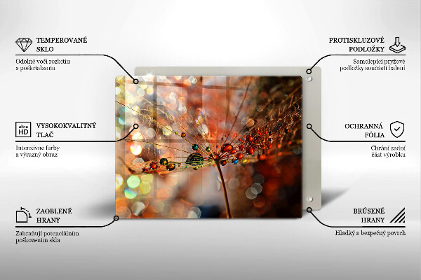 Placă sticla protectie aragaz Păpădie umedă