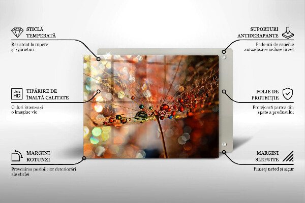 Placă sticla protectie aragaz Păpădie umedă