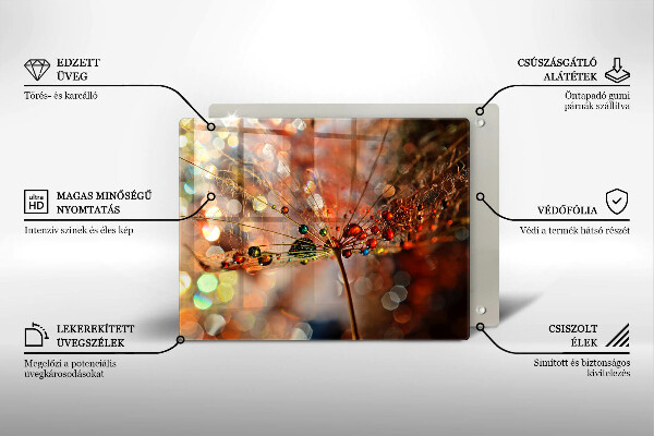 Placă sticla protectie aragaz Păpădie umedă