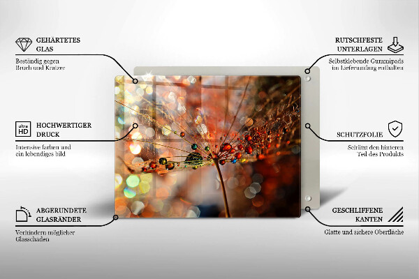 Placă sticla protectie aragaz Păpădie umedă