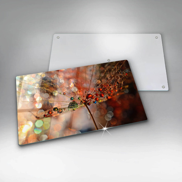 Placă sticla protectie aragaz Păpădie umedă