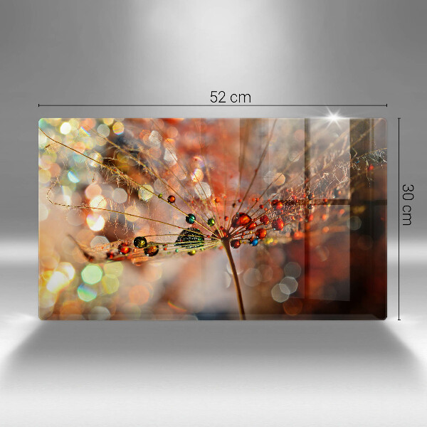 Placă sticla protectie aragaz Păpădie umedă