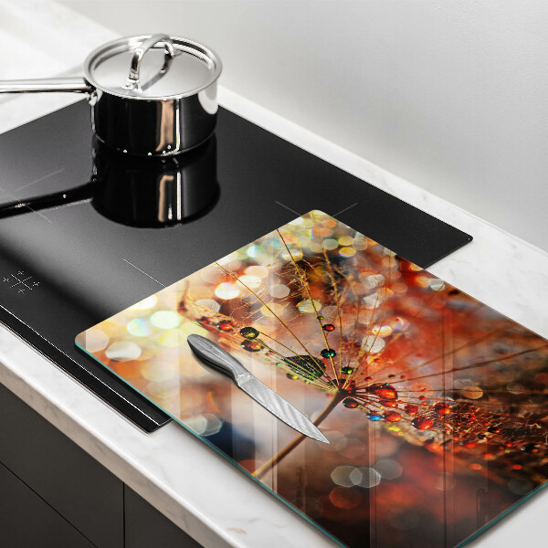 Placă sticla protectie aragaz Păpădie umedă