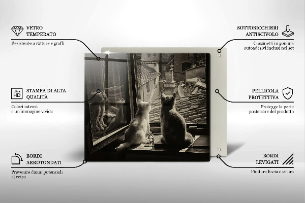 Placă protecție plita Orașul pisicilor și fereastra