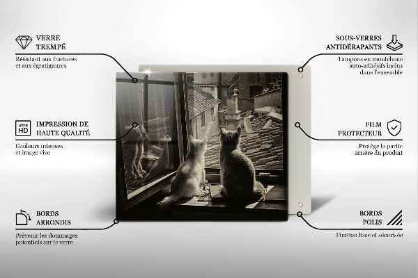 Placă protecție plita Orașul pisicilor și fereastra