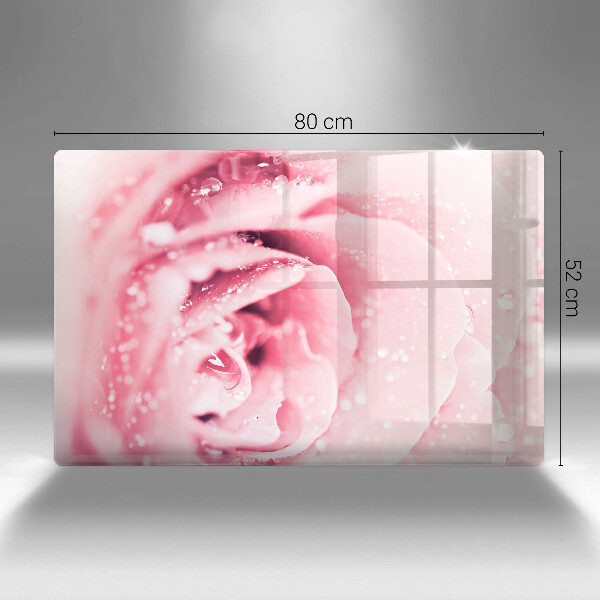 Placă din sticla protectie perete Picături de rouă și floare de trandafir